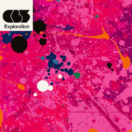 CB3 - Exploration